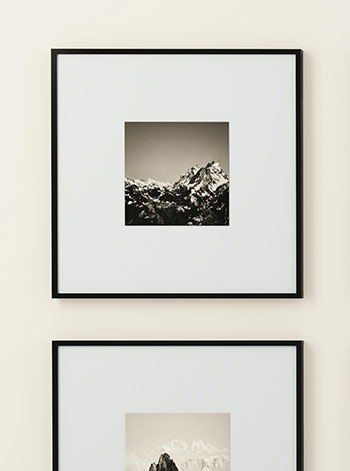 Fotoğraf Koleksiyonu